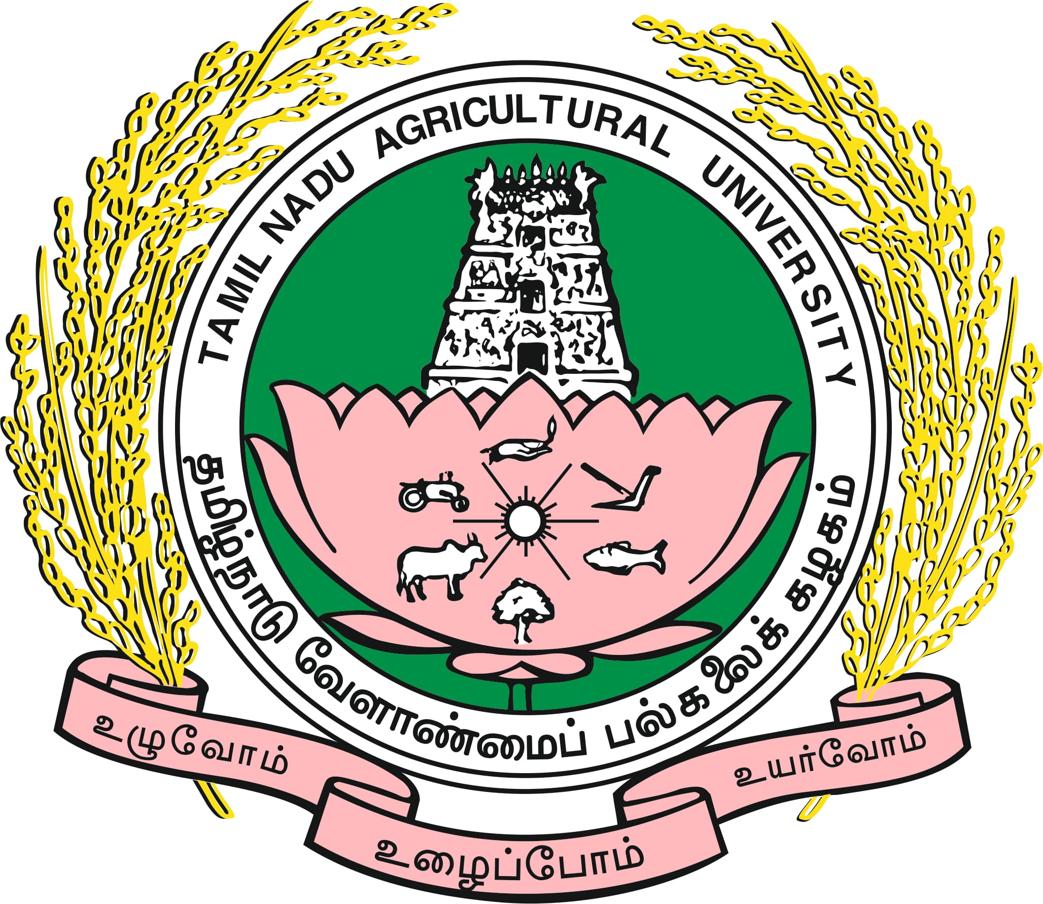 TNAU logo