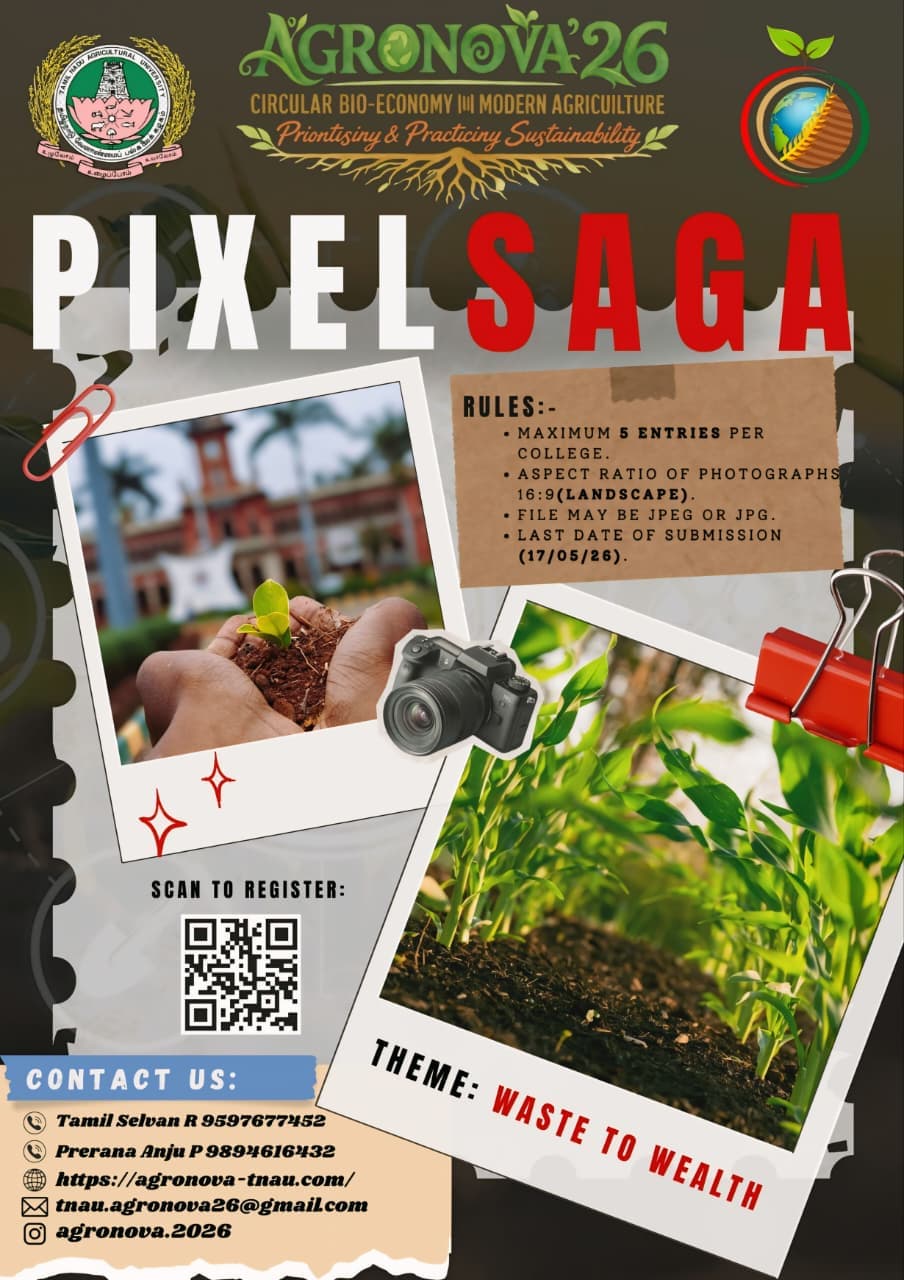 Pixel Saga